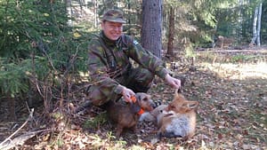 KK- mäyräkoira Korpiklaanin LP Jahti-Lillin ajosta kettu nurin