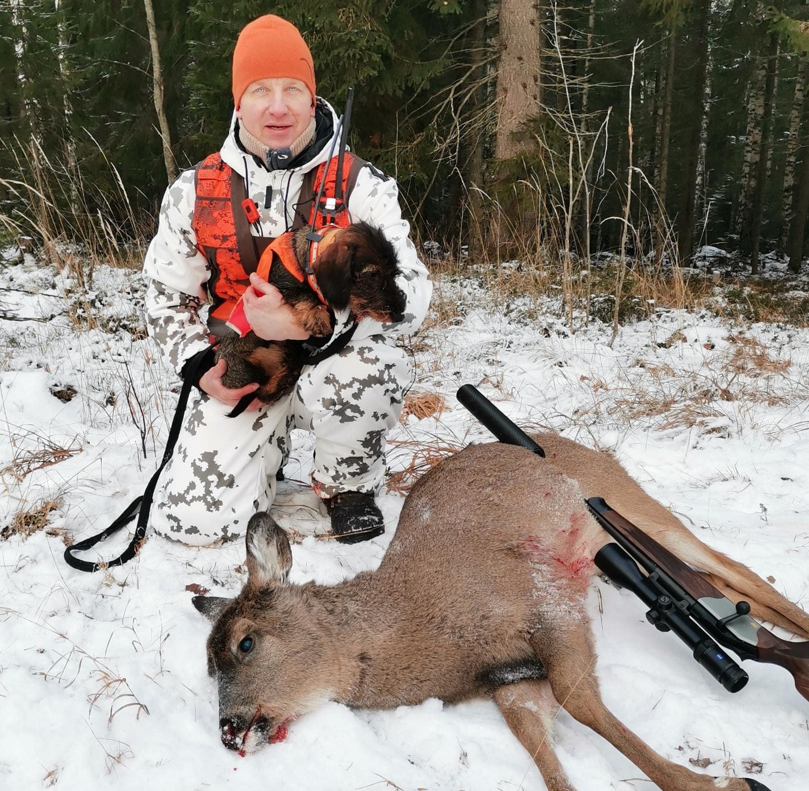 peuran metsästys kk-mäyräkoira Korpiklaanin RK Myrskyvaroitus peuran metsästys kk-mäyräkoira Korpiklaanin RK Myrskyvaroitus