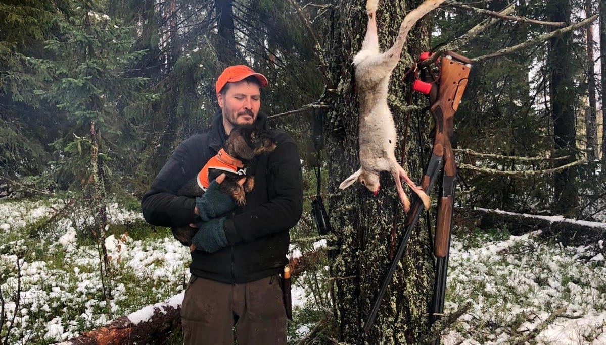 Korpiklaanin RK Myrskyvaroitus Jäniksen metsästys mäyräkoiralla Korpiklaanin RK Myrskyvaroitus